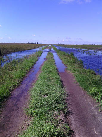 caminos rurales inundados